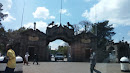 Lions Gate 