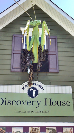Discovery House Window Mantid