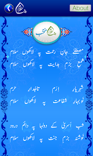   Salam-e-Raza- screenshot thumbnail   