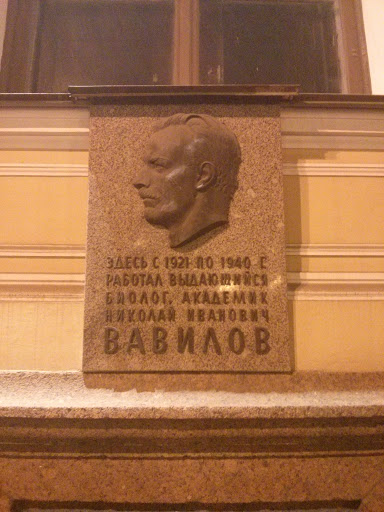 Вавилов Николай Иванович