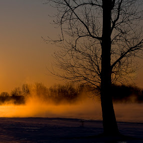 by Rachel Bilodeau - Landscapes Waterscapes