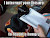User profile picture thumbnail