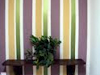 Murales Y Decoracion