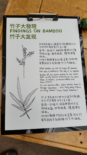 Findings On Bamboo Exhibit 