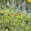 Halloween Pennant