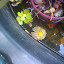 Hardy Water Lily