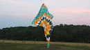 Wind Sculpture 2