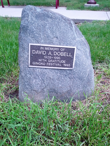 David A. Dobell Gingko Festival