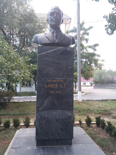 Профессор Алиев А. Г.