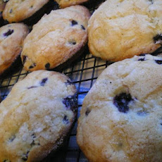 Jordan Marsh Famous Blueberry Muffins