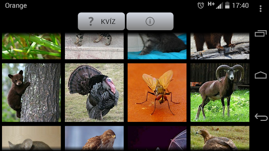 App store download free