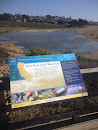 Santa Rosa Creek Watershed Sign