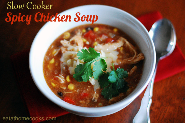 Slow Cooker Spicy Chicken Soup – with variations to fit your pantry