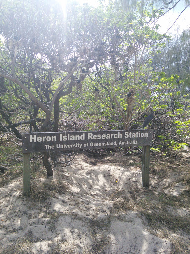 Heron Island