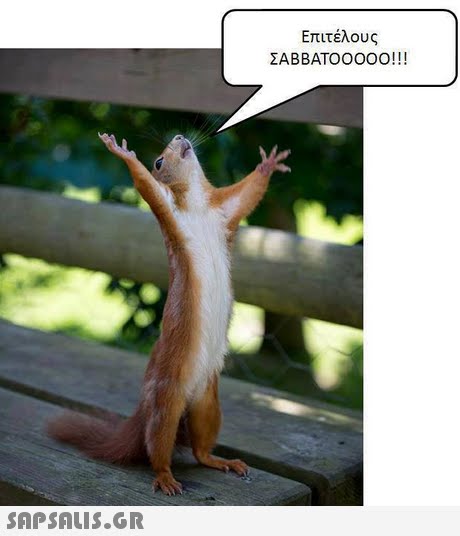 Επιτέλους ΣΑΒΒΑΤΟΟΟΟΟ! !! 