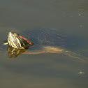 Pond slider