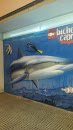 Grafitti Tiburón