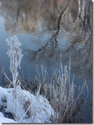 frost andf reflections