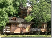 alnwick garden tree house