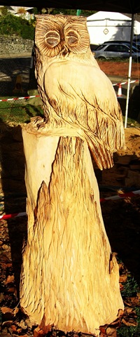 [woodfest chainsaw owl[3].jpg]