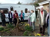 u3a gdn grp contemplate a eucalyptus!