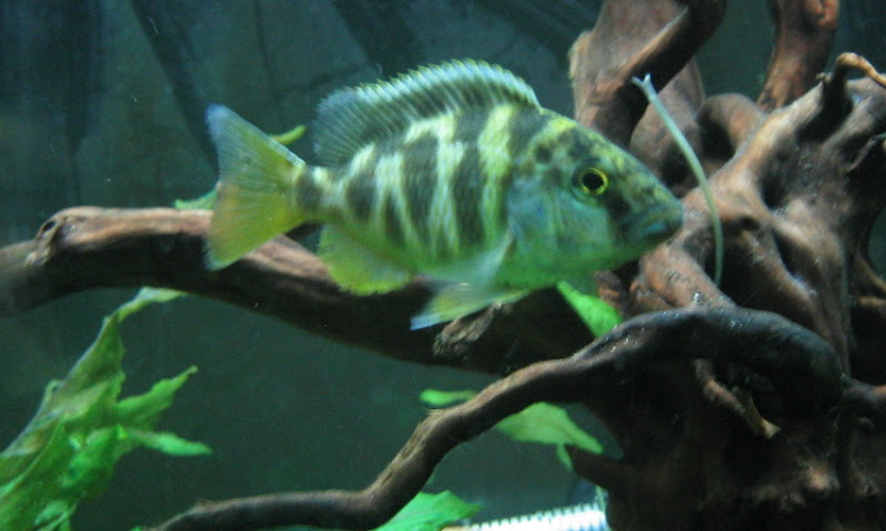 IMG_2755.JPG