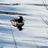  &ndash; Today on the Lake March 4 2010