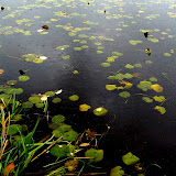  &ndash; Today on the Lake Nov 3 2009