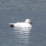  &ndash; Today on the Lake March 13 2010
