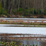  &ndash; Today on the Lake March 9 2010