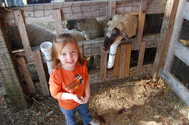 [DSC_0311[2].jpg]