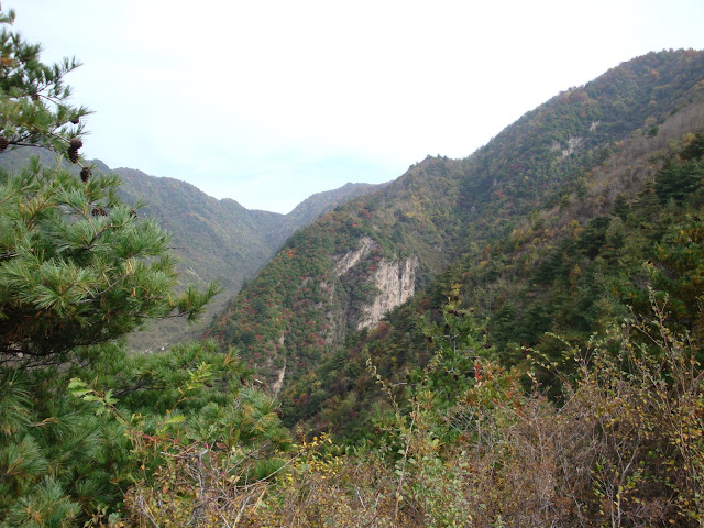 西山