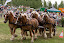 Alken2010
