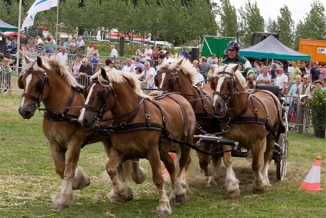 Winnaar vierspan Winnaar vierspan