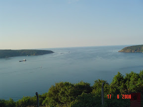 oralarda bir yerde yunuslar da var...