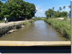 Picture 239