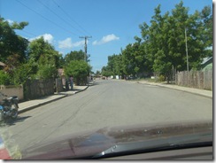 Picture 240