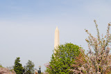 DSC_0036.JPG