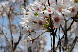 DSC_0035.JPG