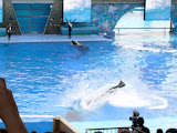 Splash time!