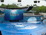 Get ready the show is about to begin.