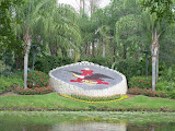 Anheuser Busch flowers.