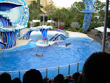 Bunch of dolphins.