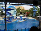 More "birds" then dolphins at the dolphin show.