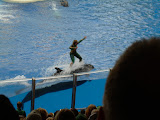 Let's go surfing now...