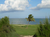 Golf course backdropped by the ocean looking out from our balcony.
