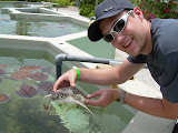 Chase picking up more turtles.