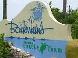 Sign for the turtle farm, in case you ever visit and want to see more.