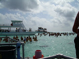 The mass of "invaders" at Stingray City