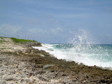 Sea spray from a wave crashing.
